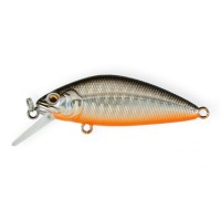 Shifty Shad 60SP #A70-713
